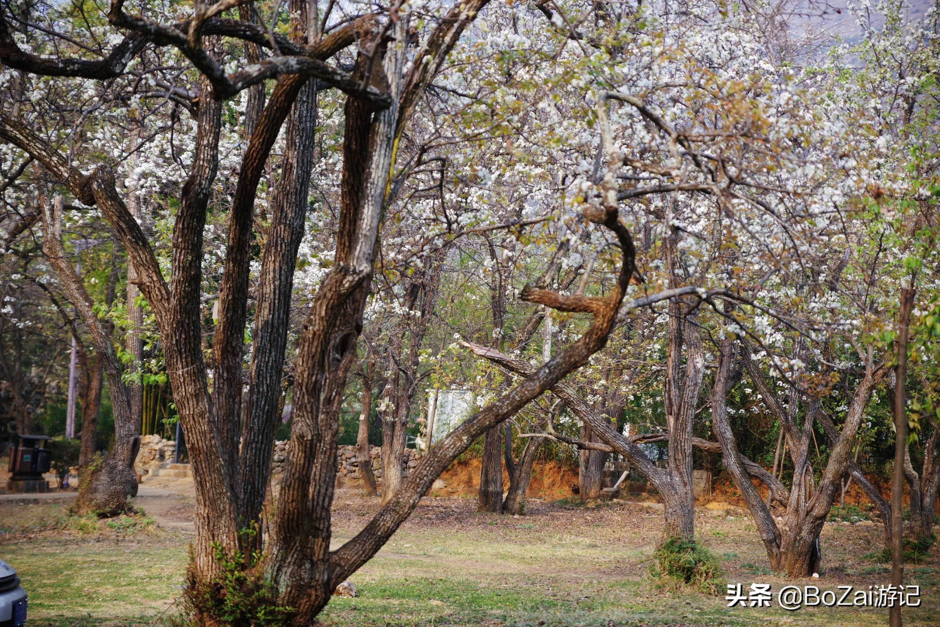 到云南大理周边旅游必去的11大景点，你去过几个？最爱哪个景点？