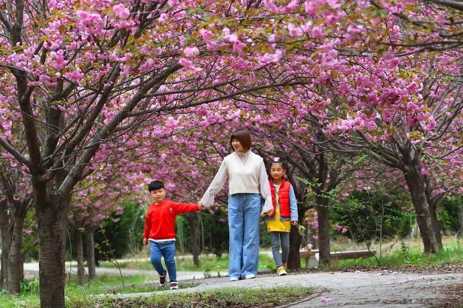 秦州區成功創建為省級全域旅游示范區，一起為美麗家鄉點贊
