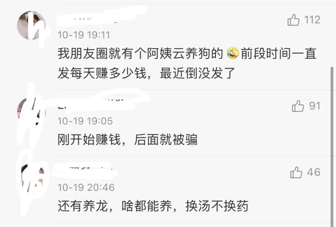 6000多人被骗了1个多亿!央视曝光养猫骗局