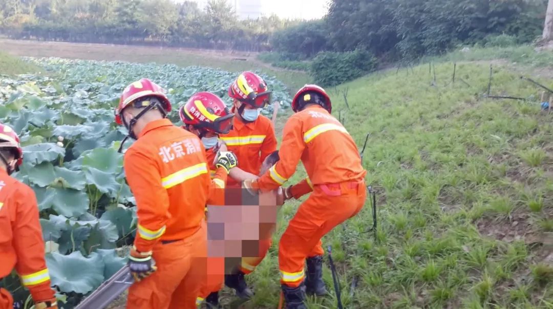 奇葩|男子喝断片赤身一夜躺荷塘，路过居民误以为是“尸体”吓得报警