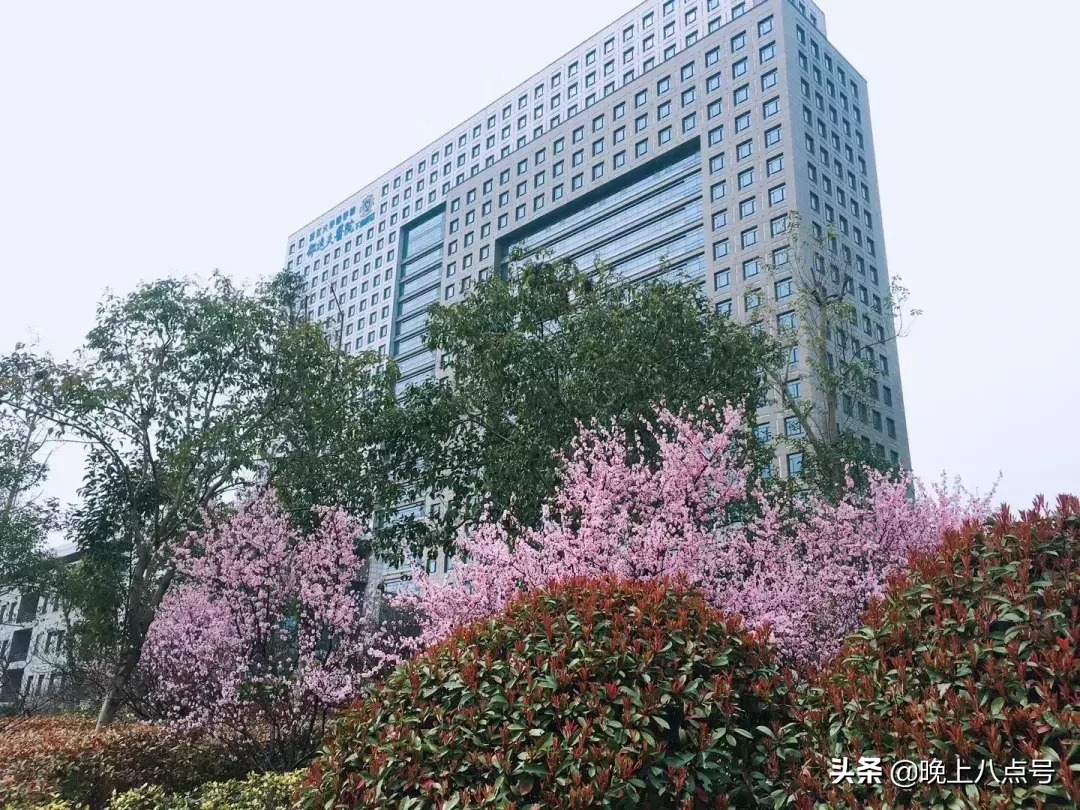「夫妻情」一路有你