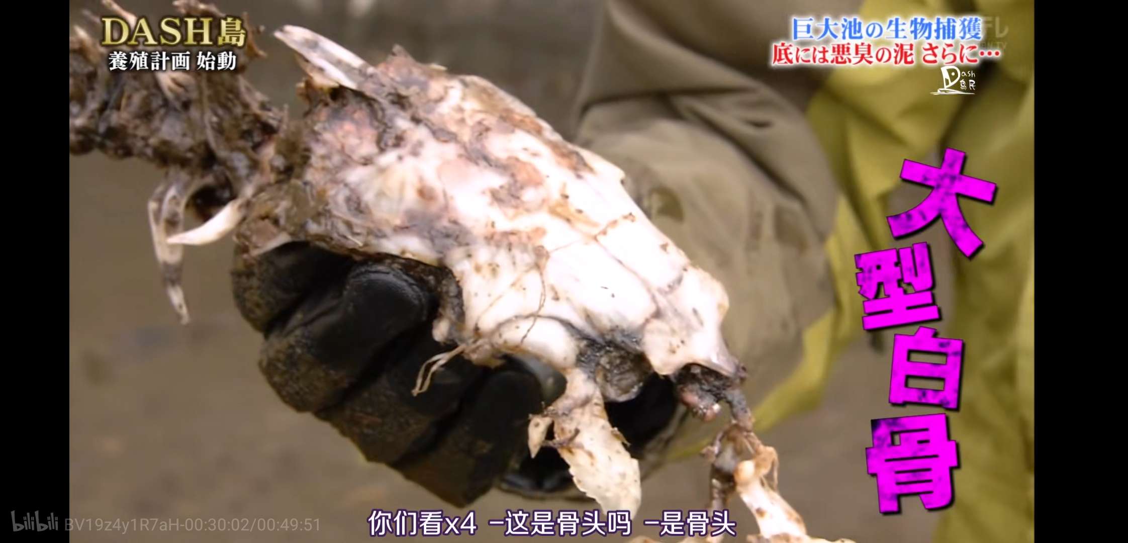 慎入！超恶心！看了这个日本综艺，我的晚饭都