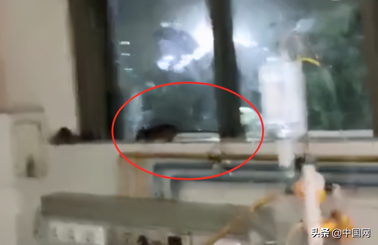 ҽԺICUһȺܣҧܣҽԱ֪ߣӦһ