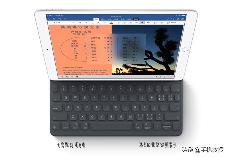 好香！iPhone不张扬公布iPad Air 和iPad mini,市场价2999元起