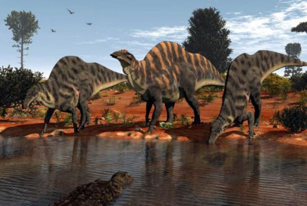 体型最大的恐龙是什么龙（阿根廷龙 体格是霸王龙的五倍）