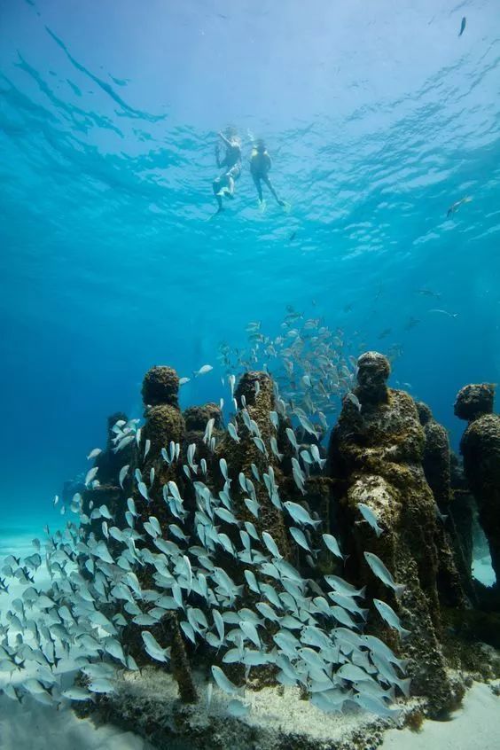 最具沉浸感的博物馆：戛纳海底生态博物馆