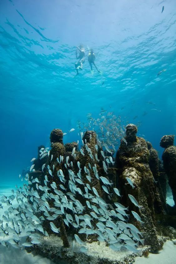 最具沉浸感的博物馆：戛纳海底生态博物馆