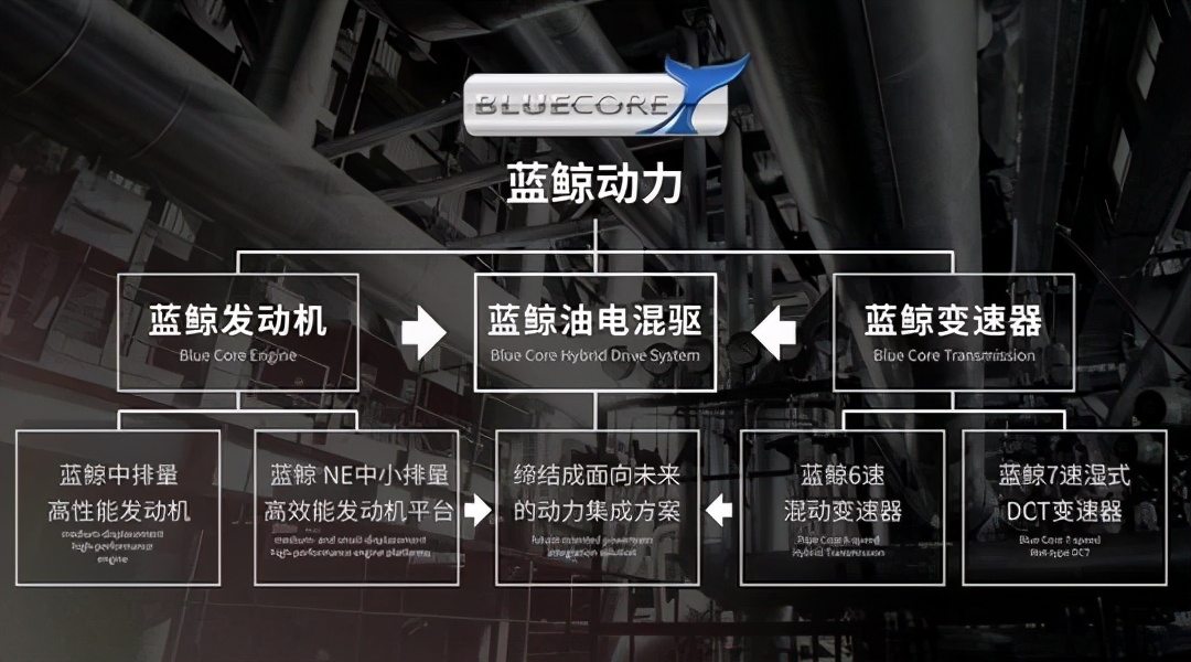 国产“两大混动”来袭，比亚迪混动大哥位置不保？你愿意等他们吗