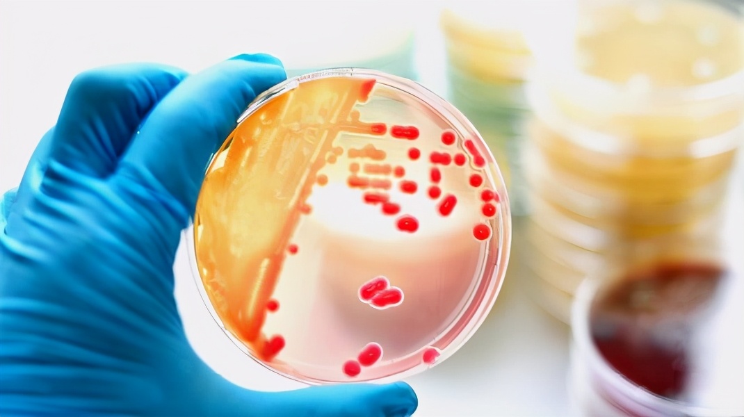 德納：外交部6次喊話美開放德特里克堡基地，科學證據在此