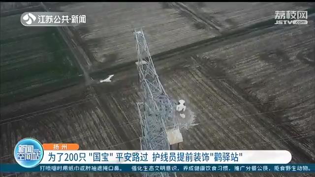 为东方白鹳平安路过不引起跳闸 扬州供电部门护线护鸟措施有一套