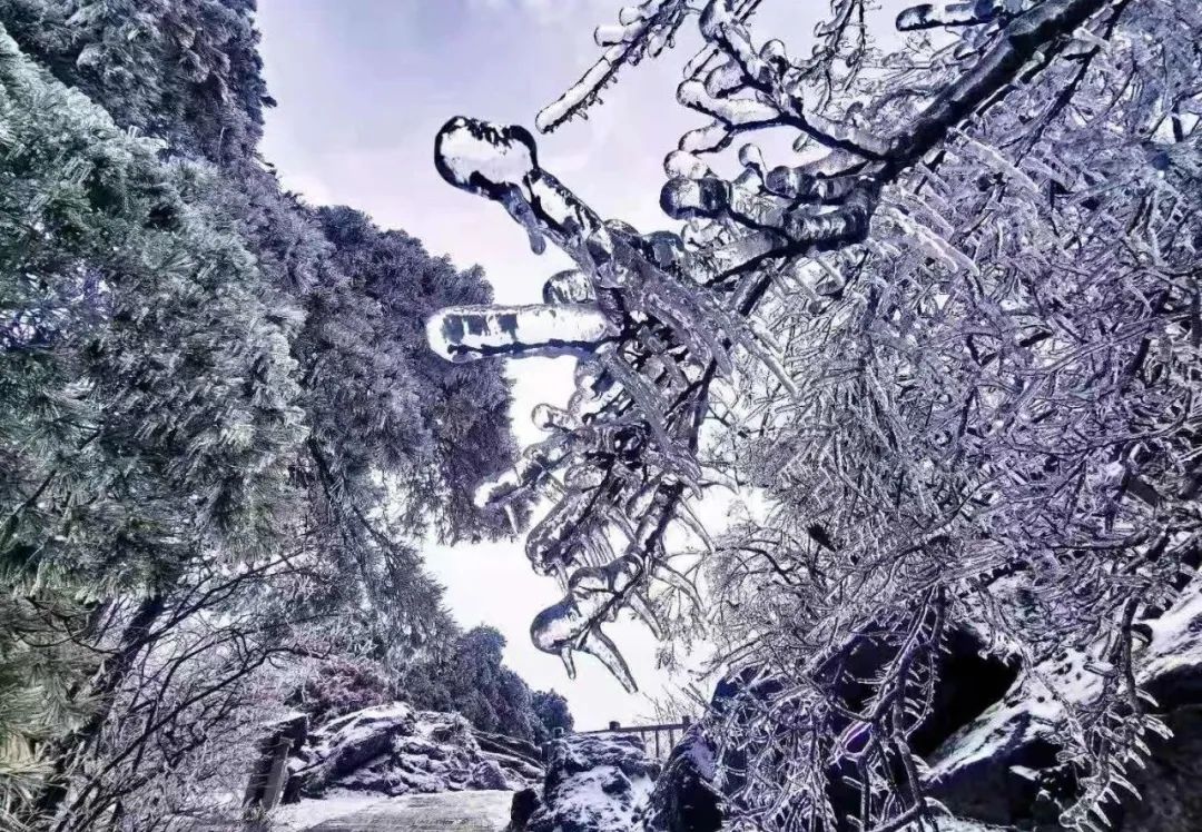 《你好，李煥英》雞公山景區對所有女神免門票啦