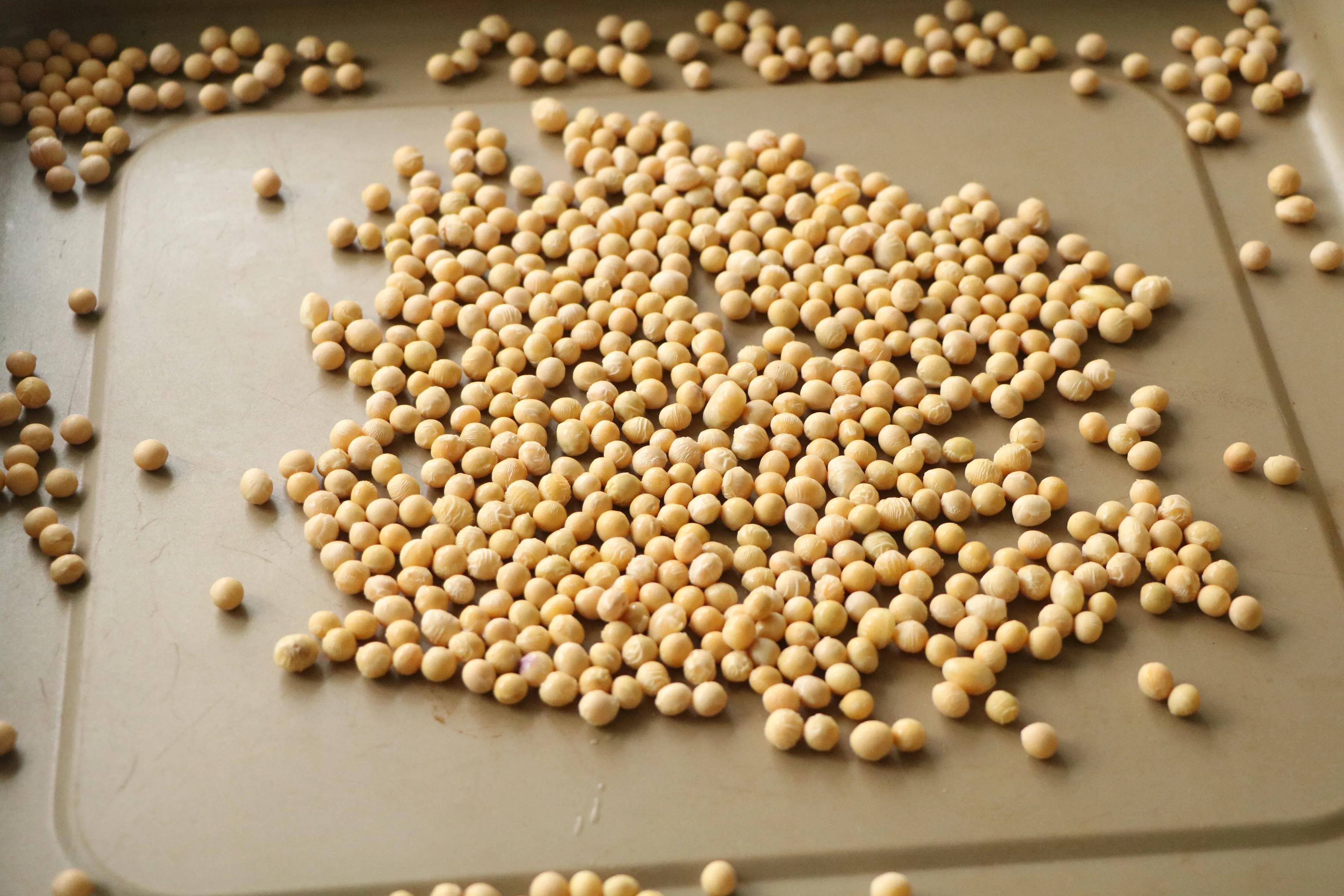 湯圓別直接煮著吃了，多加一步，好吃不甜膩，堪比街邊小吃，香！