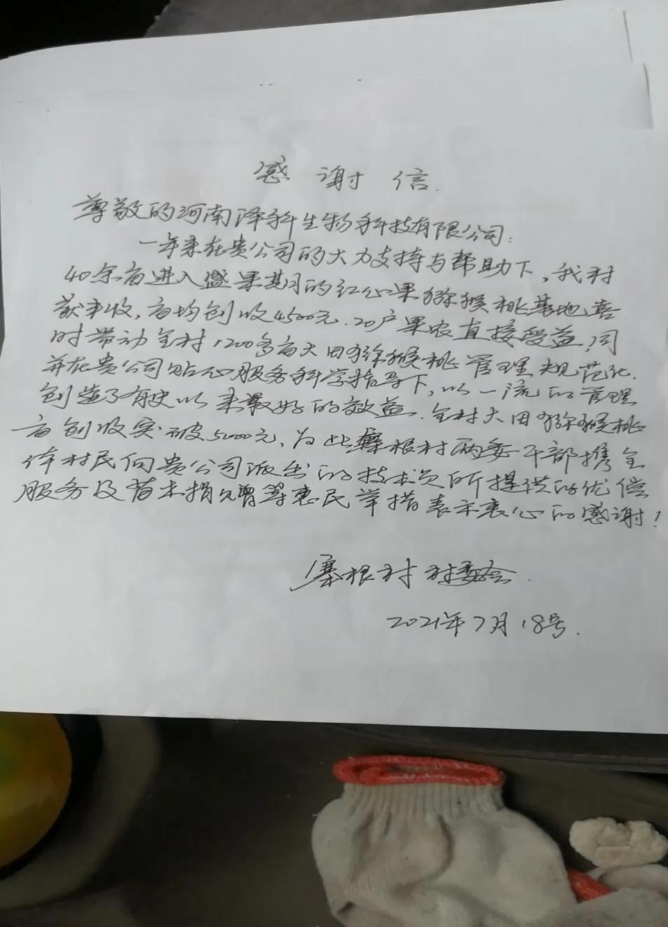 “盛夏燃梦”，小小猕猴桃竟能撬动乡村振兴