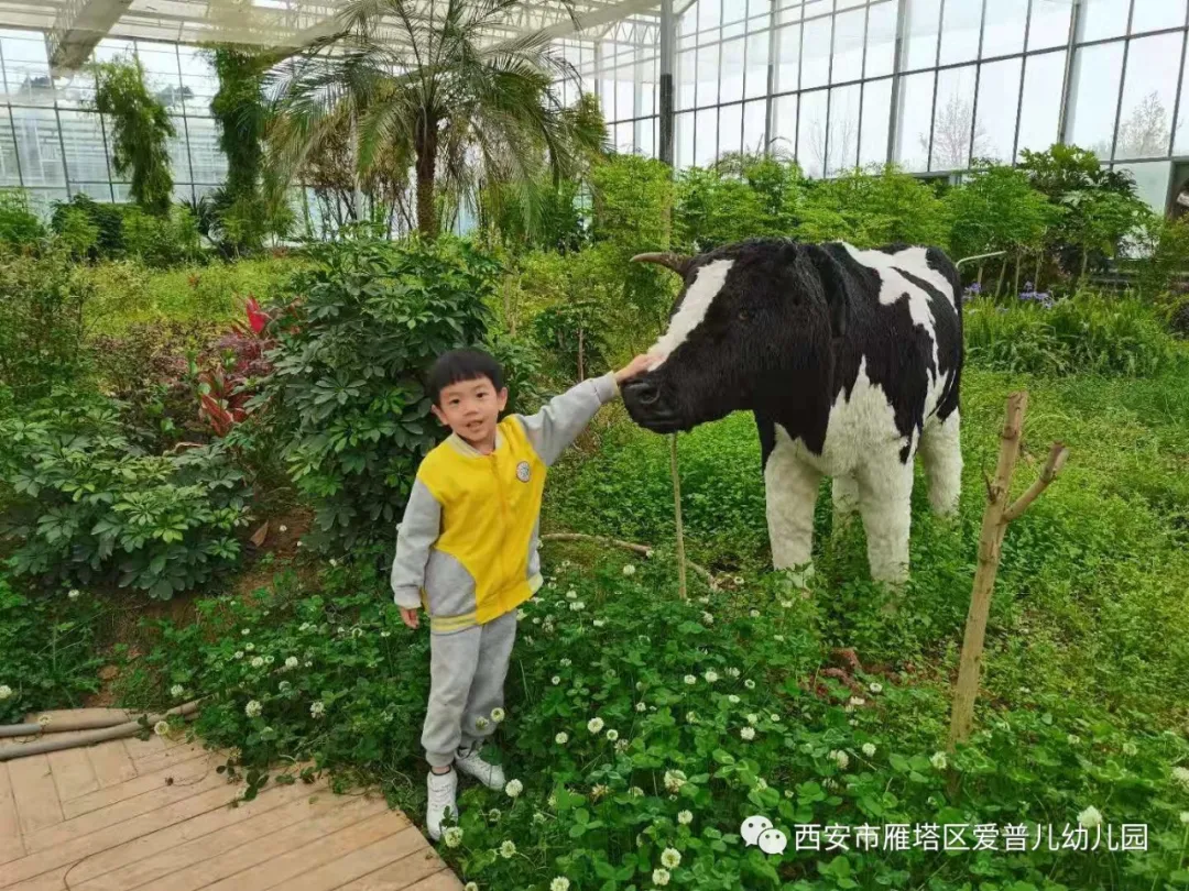 ����عˡ����ն��׶�԰�а�����ѧ��ʵ�߽���δ��