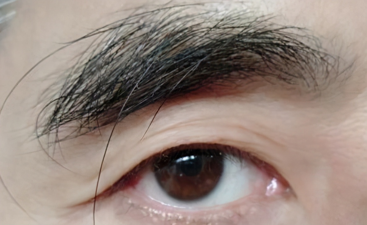 As the old saying goes, "The roots of the eyebrows are longer than ten