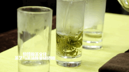 喝茶可養生？ 四季飲茶大不同，喜歡飲茶的你一定要收藏
