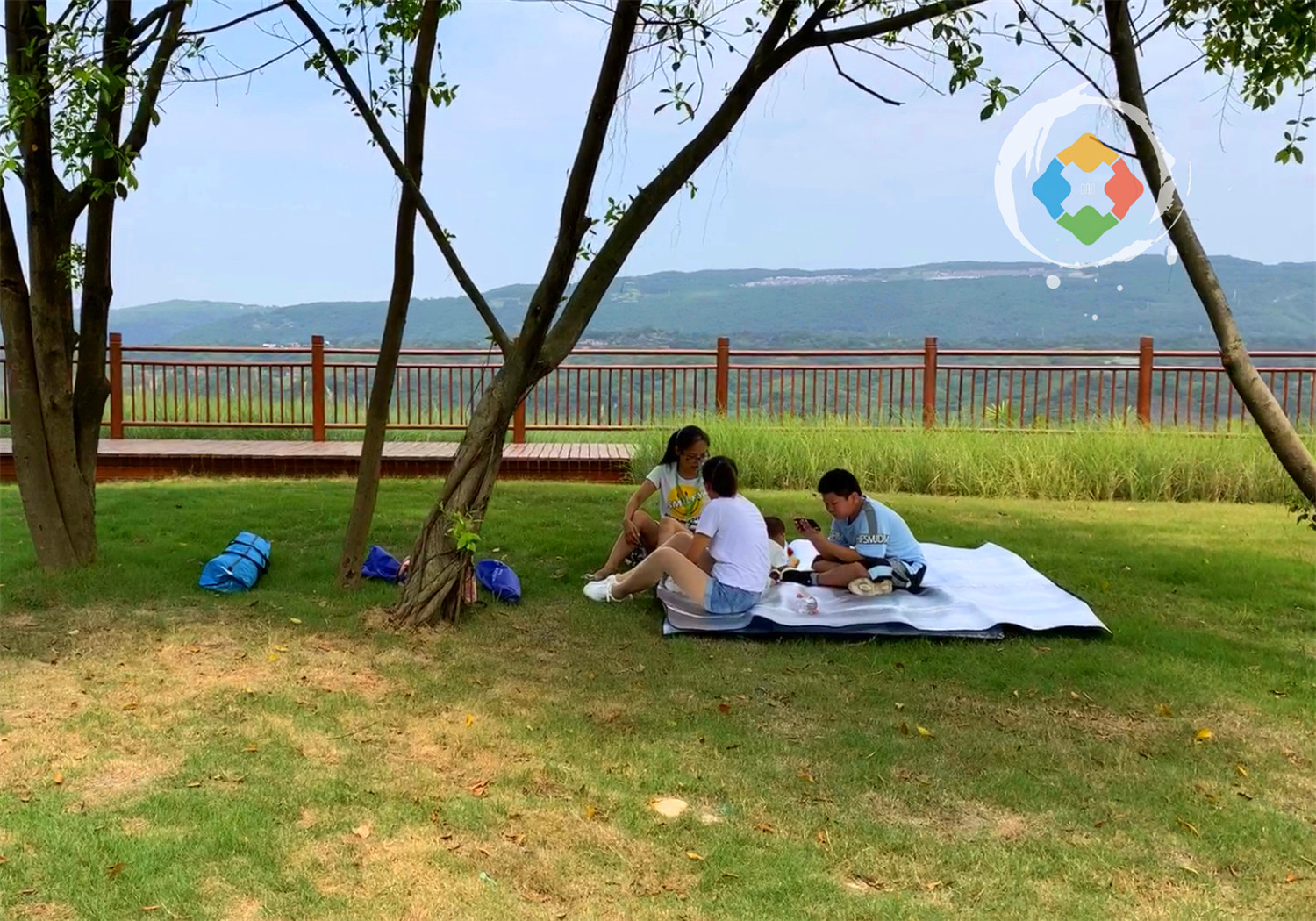 重庆广阳岛游玩攻略：一天逛完4大景点，美不胜收，拍照超好看