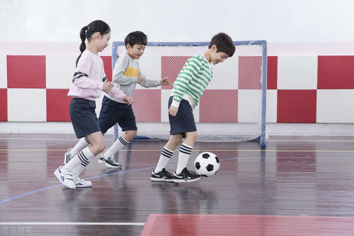 体育馆教务管理信息系统的主要功能有什么用处？