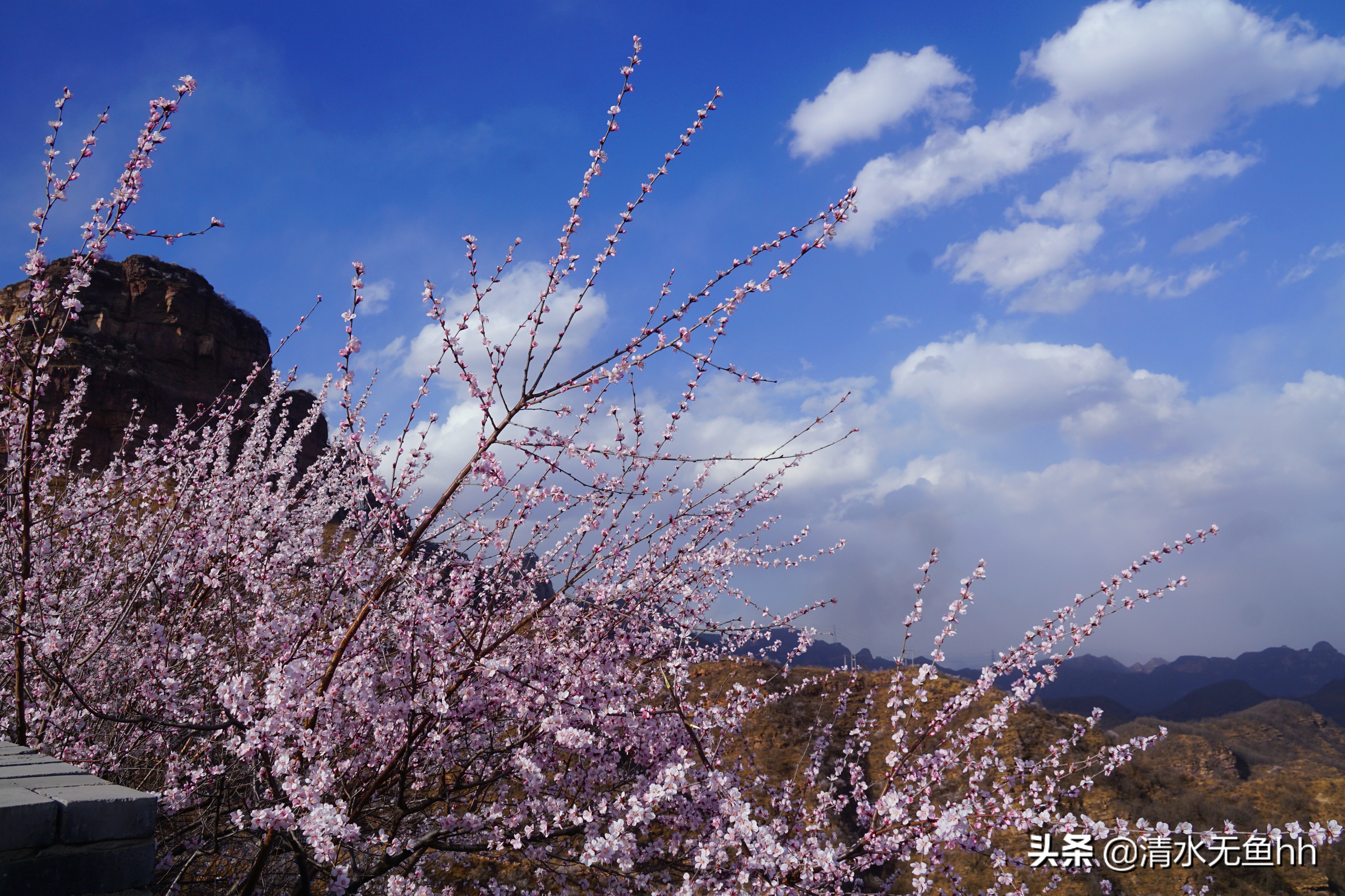 九龙峡，谁把桃花移画中