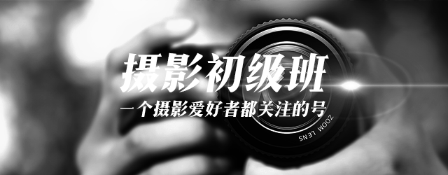 摄影穷三代，单反毁一生，玩摄影怎么赚钱？