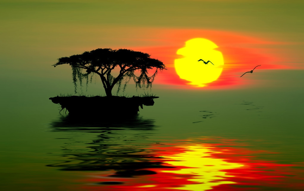 清晨见日出有感而作