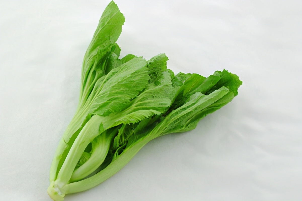 Is the bitter taste of mustard greens poisonous? Bitterness is at work