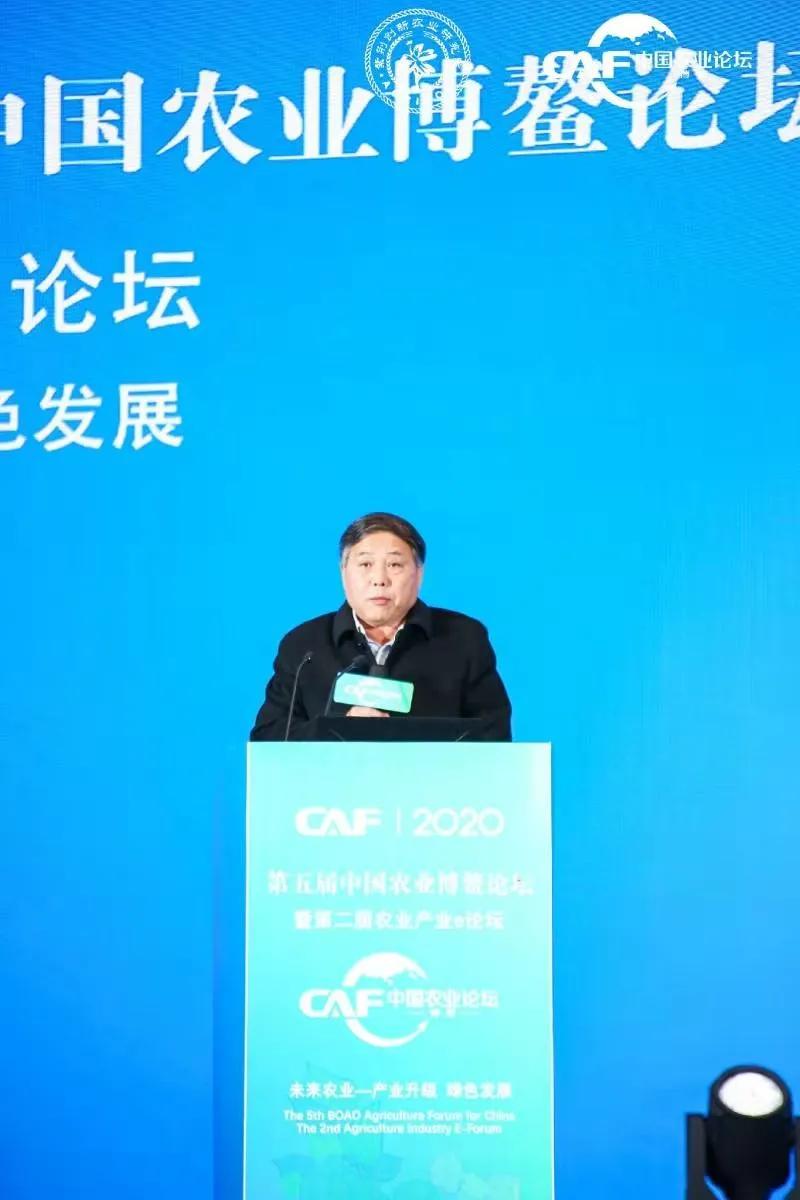 走富硒农业之路,创特色农业强县||巨鹿农业发展新篇章
