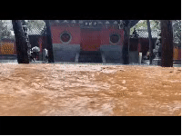 河南人朋友圈流传的12张照片，暴露了藏在中国人骨子里的高贵