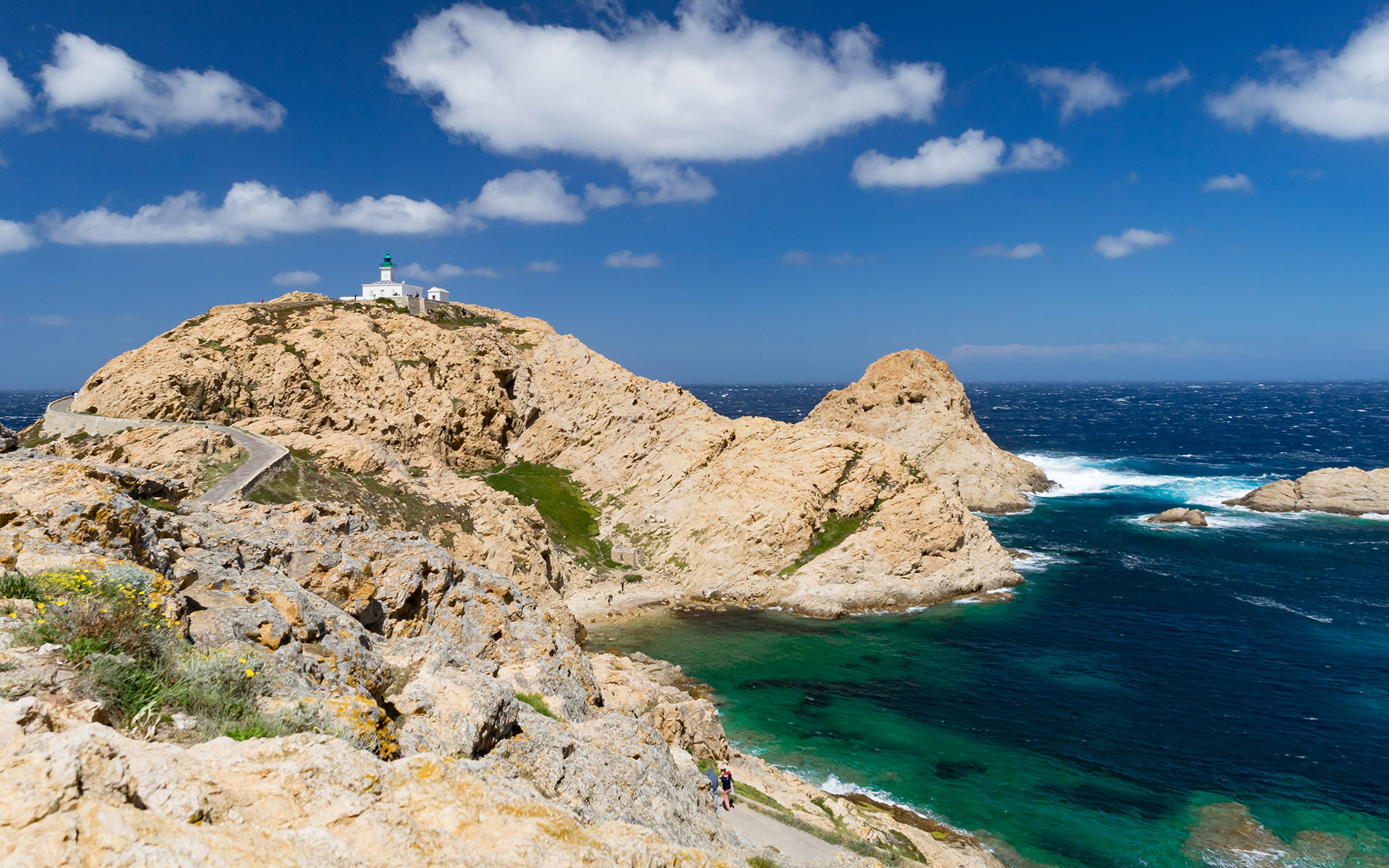 8 days later, with one heart and one mind, grow old together