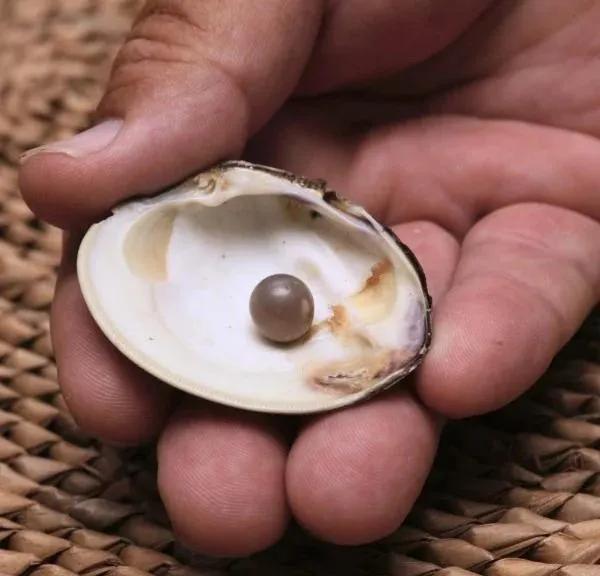 In 2007, he ate a pearl while eating clams in a restaurant. One month