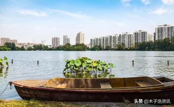 未来10年，什么样的房子才是“黄金屋”？内行“