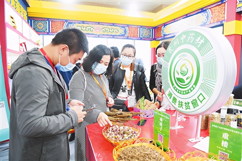 樟树全力振兴中医药发展 ——写在樟树第51届全国药材药品交易会开幕之际