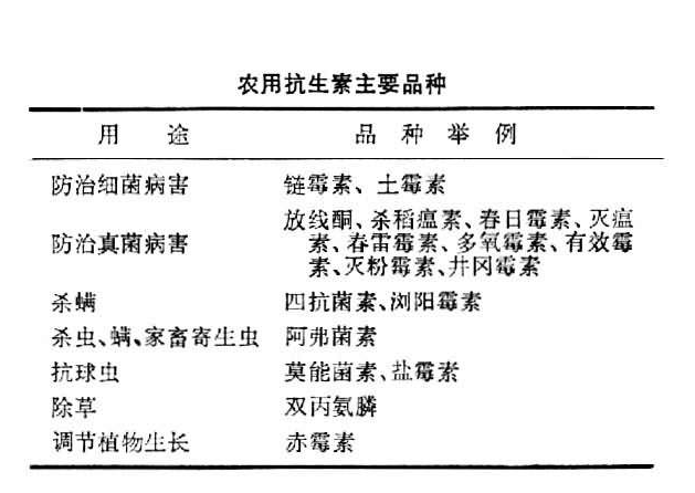 植物细菌性病害的识别与详解，附常见细菌性病害录大全-第11张图片-农百科