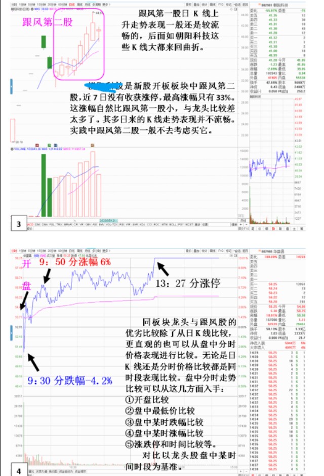 龙头股与同板块其他个股同时段的表现状况，从