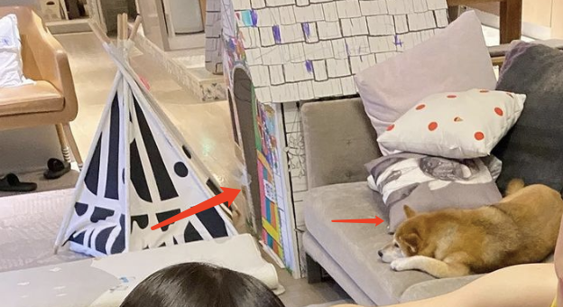 Ella亲自操刀给儿子理发，意外曝光豪宅内景，拥挤但很温馨