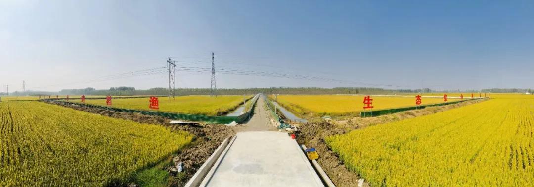 农民日报 | 因地制宜发展特色产业走稳致富路 —山东临沂市驻罗庄区乡村振兴服务2队助力帮扶村发展 农民日报 | 因地制宜发展特色产业走稳致富路 —山东临沂市驻罗庄区乡村振兴服务2队助力帮扶村发展