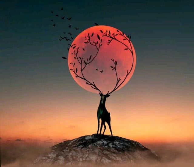 关于夜晚的哲理句子说说心情(适合深夜送朋友圈的人生感悟,蕴含哲理