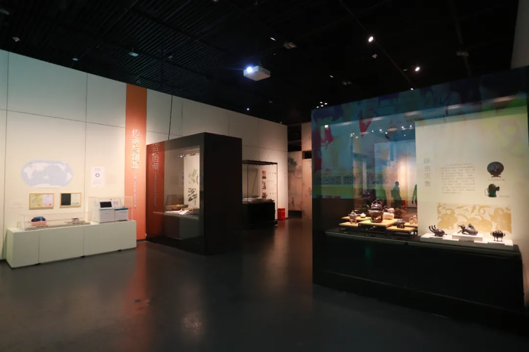 国内首个！中医药出土文物特展，马王堆、敦煌国宝都来了