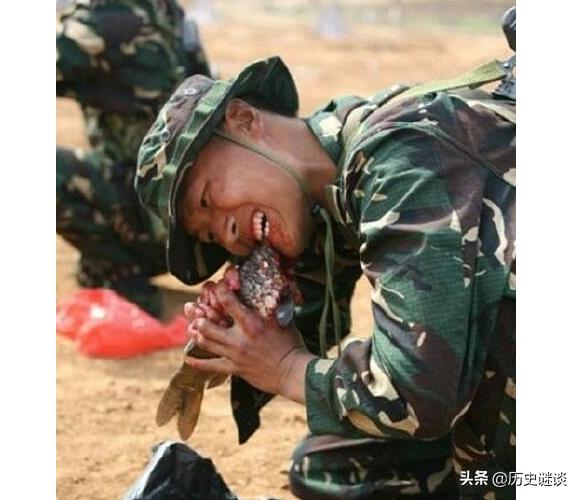 What food do special forces eat in the wild?After reading the "menu