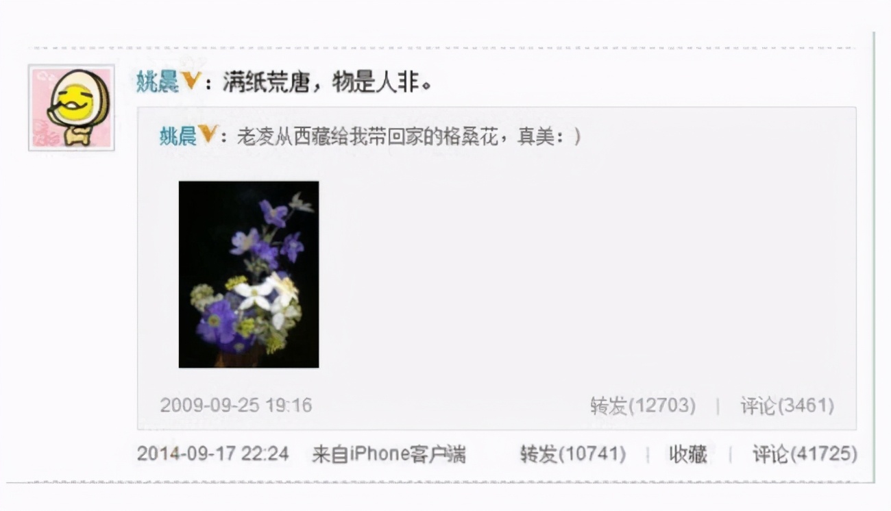 离婚8年，凌潇肃夫妇再撕姚晨：10年拉锯战，3个
