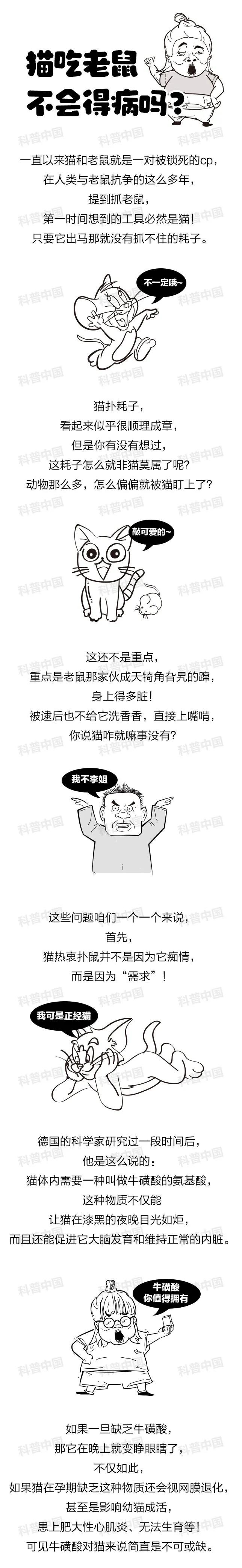 Why do mice have so many germs, but cats don't get sick if they eat them?I'll understand after