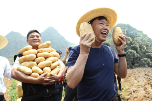 人民大会堂推销土豆，65岁成带货主播，这位叫朱