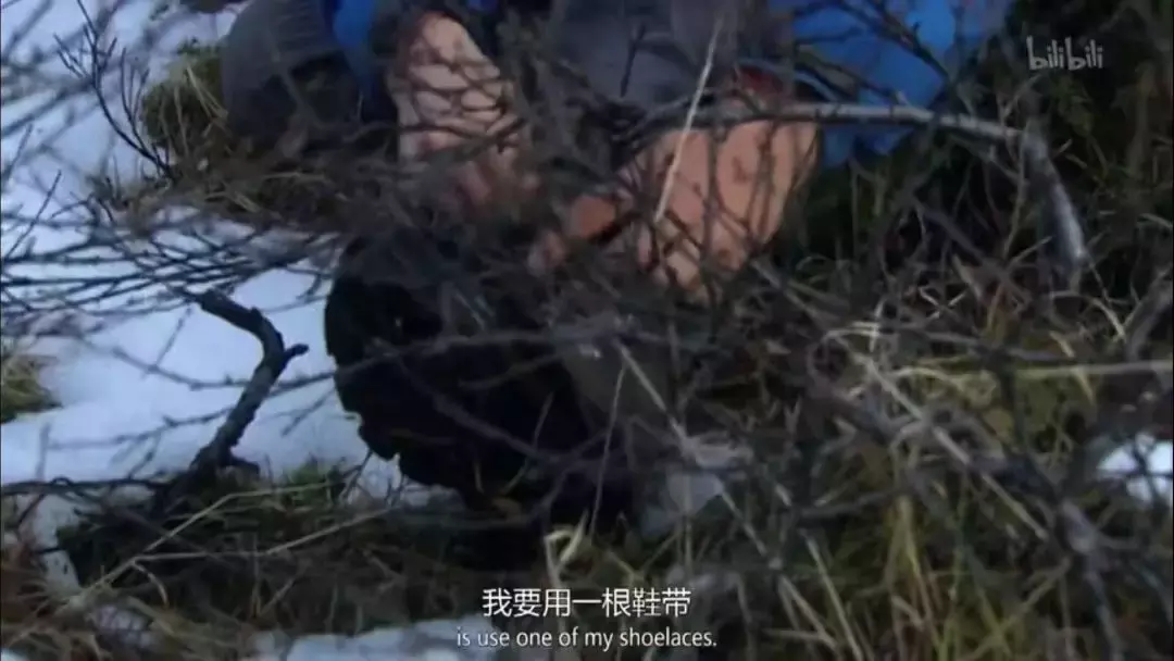 鸡肉味嘎巴脆!盘点《荒野求生》与贝爷的那些梗~