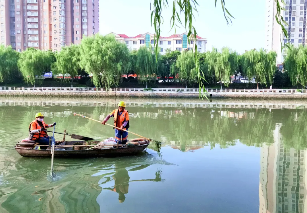 沭陽(yáng)：讓花鄉(xiāng)美起來(lái)，成為美麗江蘇的美麗公園