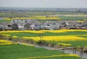 男子为讨好女子，他杀了一只狐狸，隔天村民全