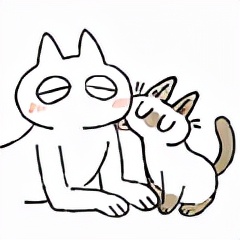 暹罗猫很爱说话而且任性 | 漫画家nobeko专访