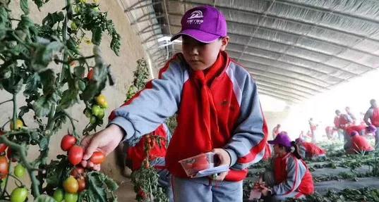 冬天的正确打开方式：就在武威这几处冰雪世界