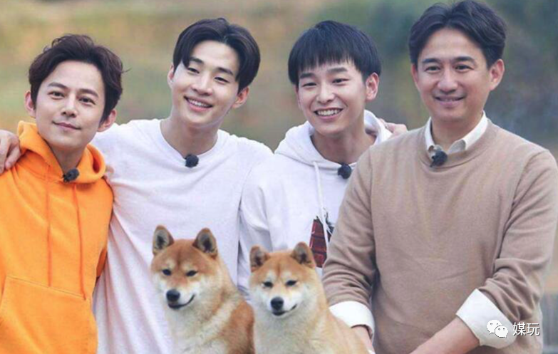 《向往的生活4》增加一只宠物！他们是怎样把狗鸭牛羊带出道的？