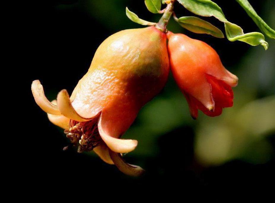 写给奔六的60后：人到老年，宁可孤独，也别轻谈感情，要警惕