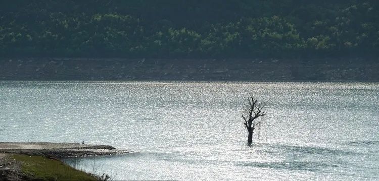 四川苍溪|水墨苍溪 那些诗意栖居的湖
